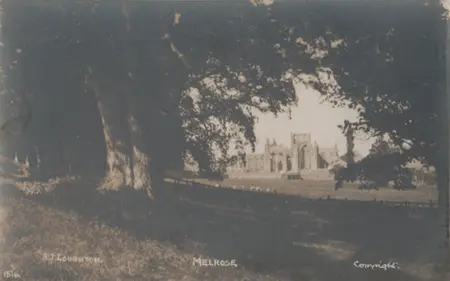 Melrose Abbey through the trees