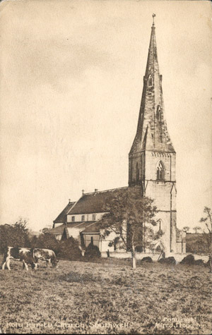 Cows in the field in front of the Holy Trinity church