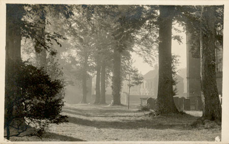 The minster and the avenue of trees